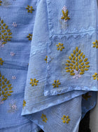 Anupama Blue & Green Unstitched Chikankari & Applique Suit Set