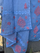 Anupama Blue & Pink Unstitched Chikankari & Applique 2 pc Suit Set