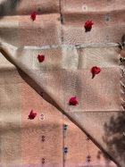 Tissue Zari Sarees